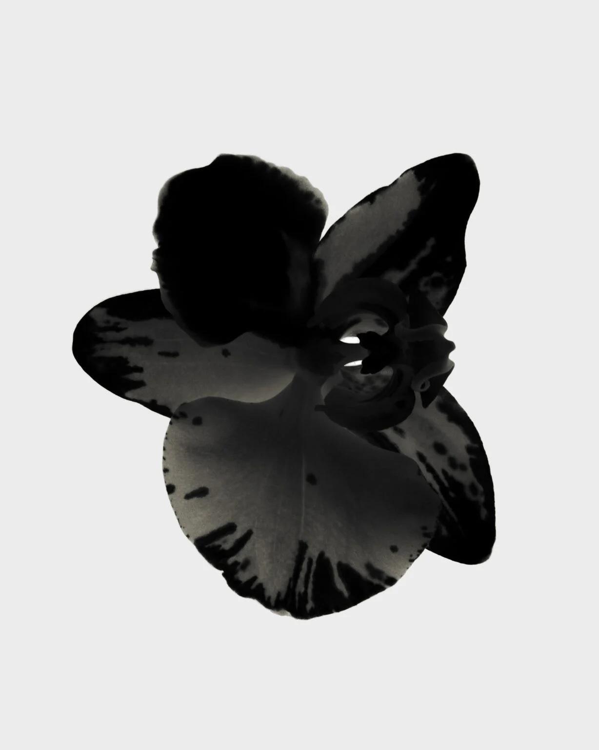 Yaratıcı dijital çözüm örneği 2